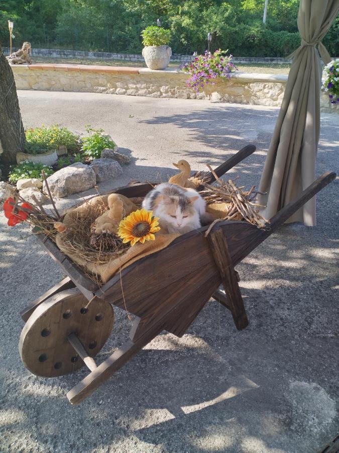 "Il Miglio" Country House Pettorano sul Gizio Ngoại thất bức ảnh
